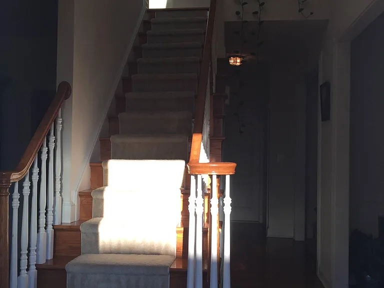 42921 Nokes Corner Ter — Photo 12
