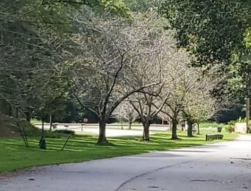 Exterior Neighborhood (street photo)