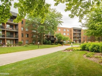 950 E Wilmette Rd UNIT 417, Palatine, IL, 60074