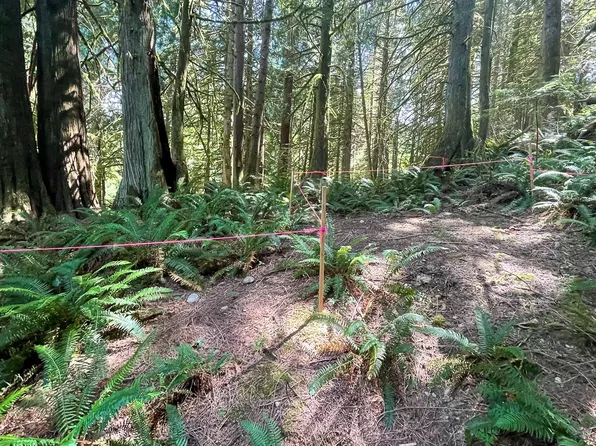 6 Tumbling Water Drive, Bellingham, WA 98229