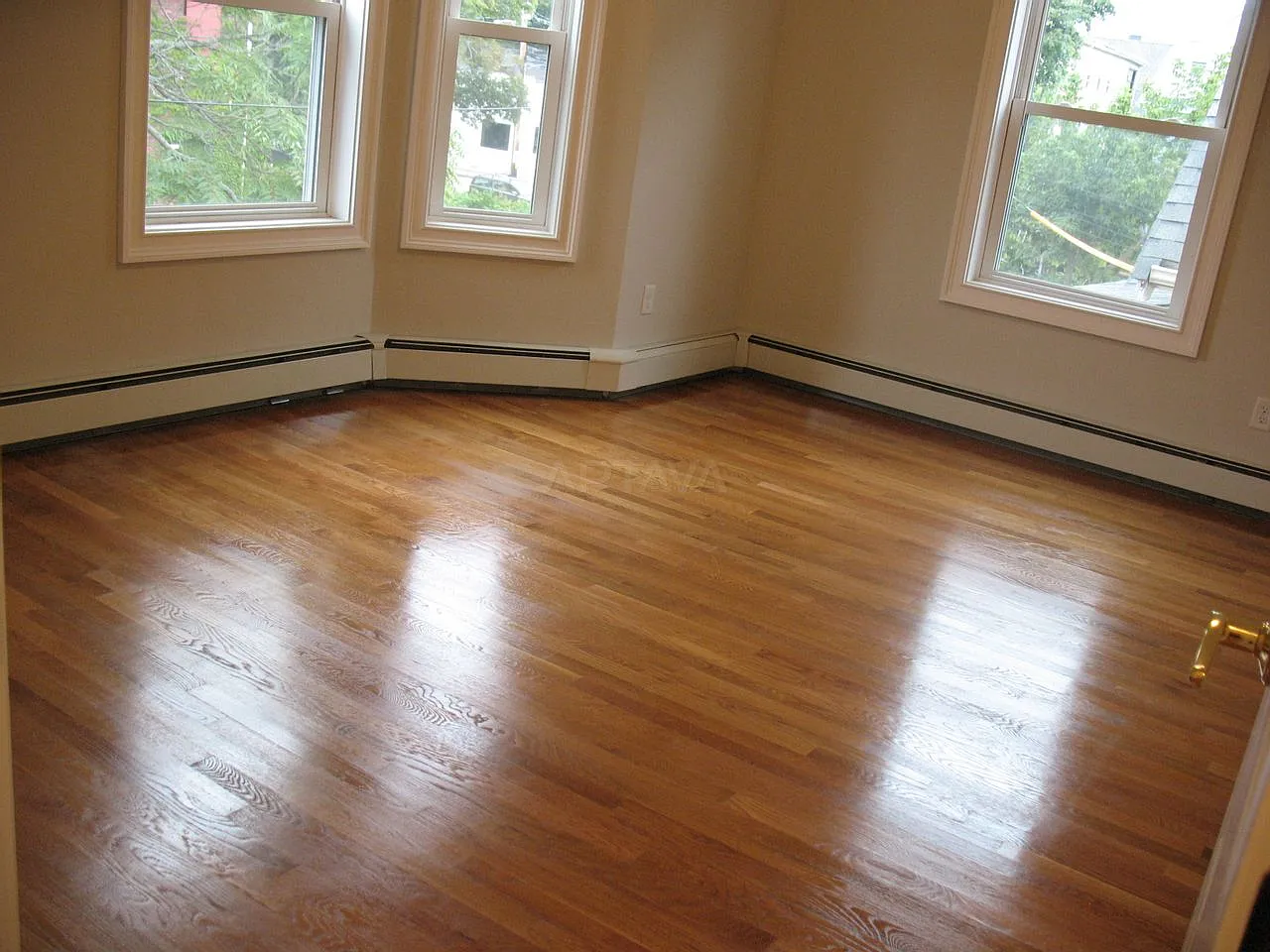 Davis Square / Porter Square / Ball Square area, 5 bedroom, 2 bathroom apartment — Photo 4