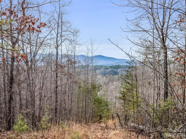 4 Parkway North Rd, Mill Spring, NC 28756
