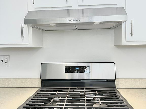 Gas Range and Range Hood