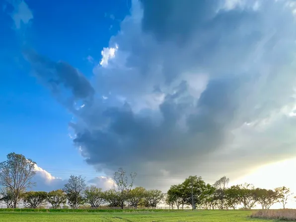 Tbd La Highway 421, Saint Francisvle, LA 70775