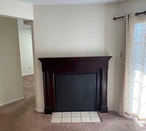 4th image of 303 Sassafras Ct