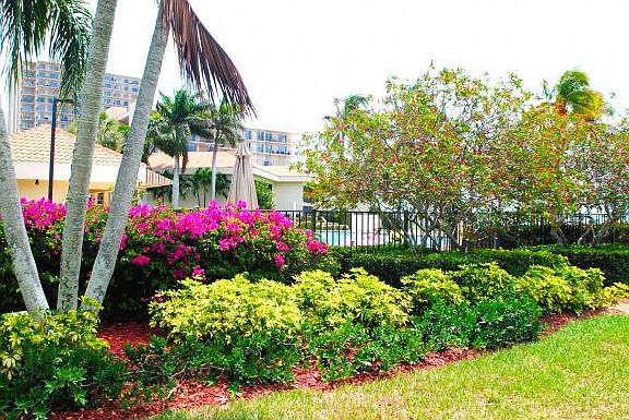 5th image of 1080 S Collier Blvd APT 207