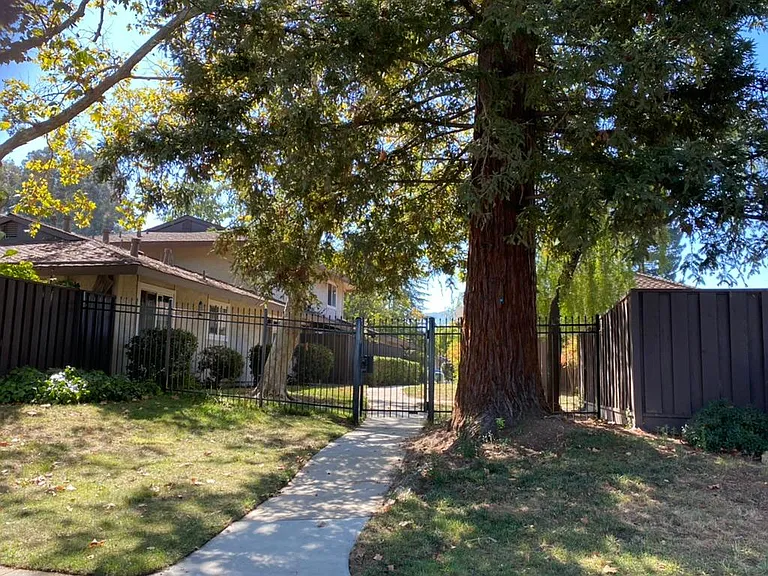 5031 Pine Tree Ter — Photo 8