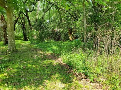 8822 Johnnies Ct, Tallahassee, FL, 32309