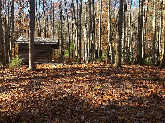 5th image of 575 Beaverdam Rd