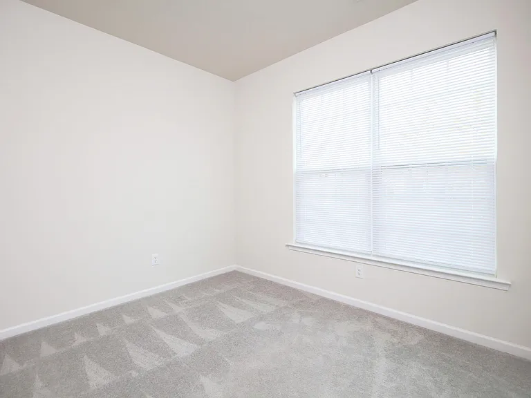 161 White Apple Way — Photo 10