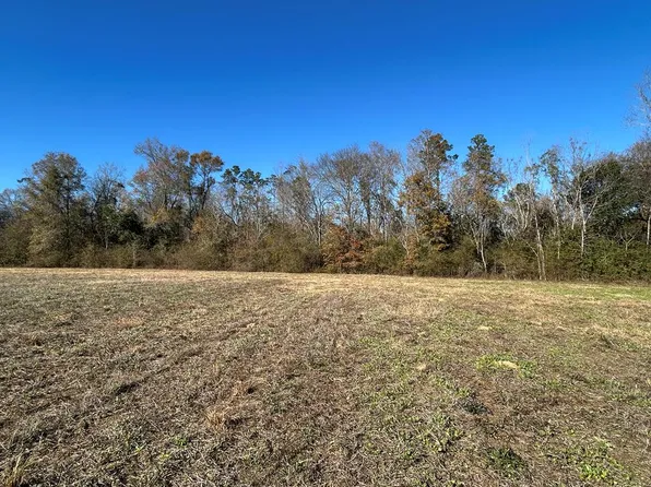 5.296 Willie Varnum Rd Lot 1, Cottonwood, AL 36320