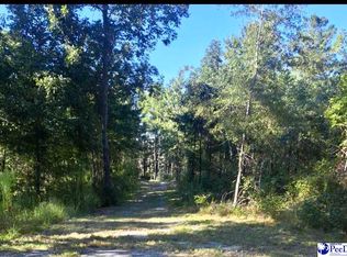 1122 Cubie Rd, Effingham, SC 29541