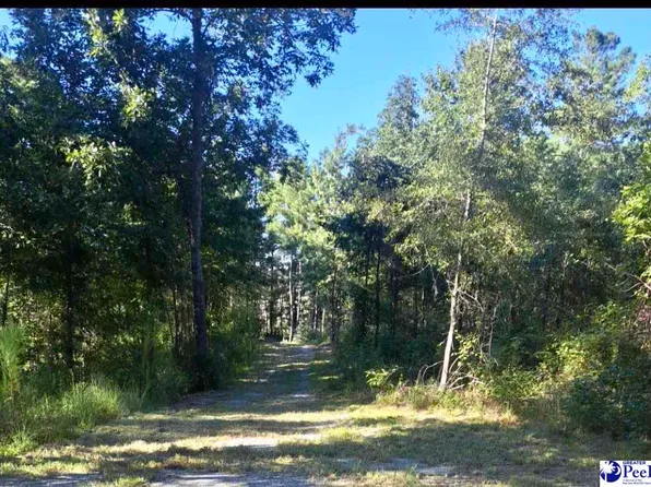 1122 Cubie Rd, Effingham, SC 29541