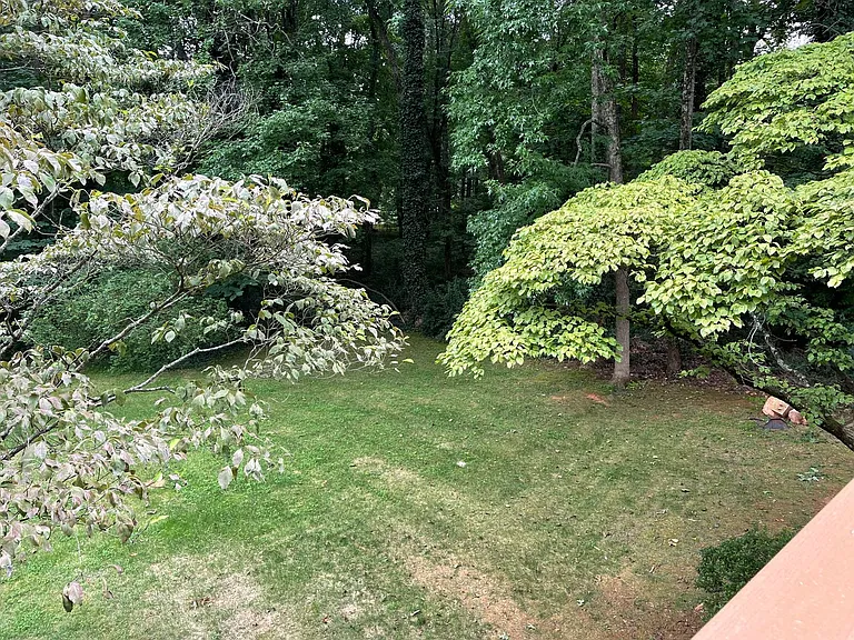 7942 Lake Vista Dr — Photo 49