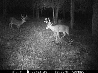 61 Hayes Ridge Rd, Indian Mound, TN 37079