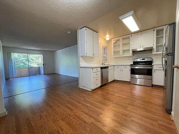 Open kitchen and living room area
