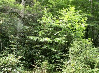 Tbd Arnold Town Rd, Mountain City, TN 37683