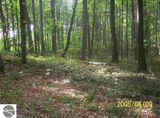 37 Thomas Rd, Frankfort, MI 49635