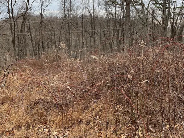 1090 Western Ln, Front Royal, VA 22630