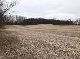 Stow Rd, Webberville, MI --