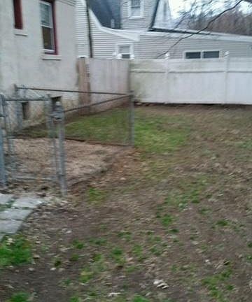 showing the back yard