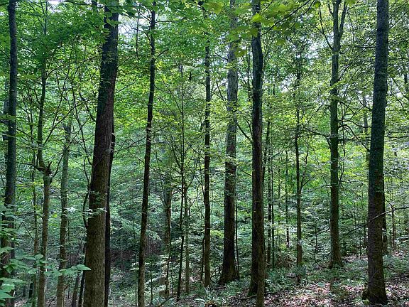 17th image of this home