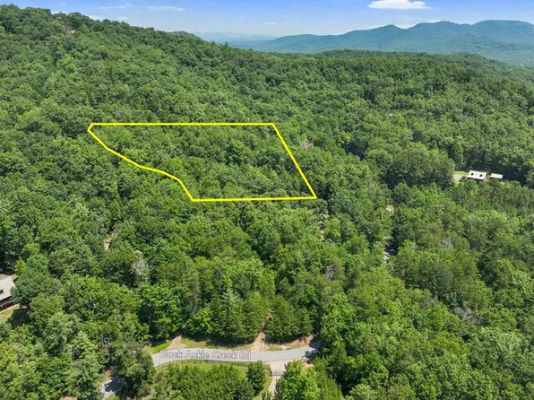LOT 1 High Knee Rd, Cherry Log, GA 30522