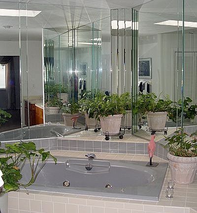 Master Bath w/ Jacuzzi