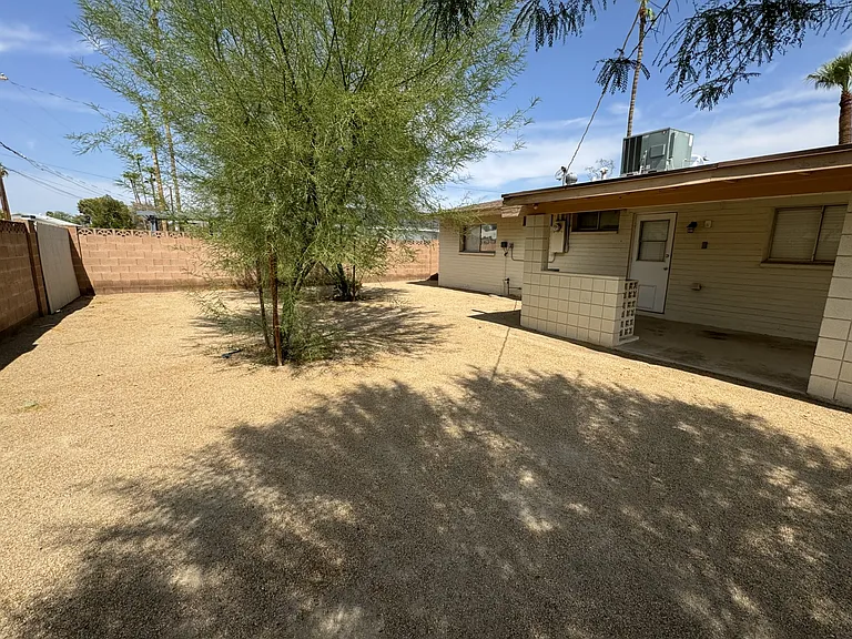 Backyard