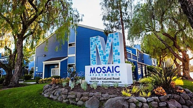 Mosaic Apartments — Photo 2