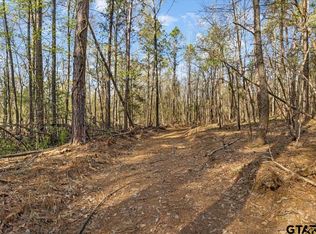 Fm 2015, Tyler, TX 75708