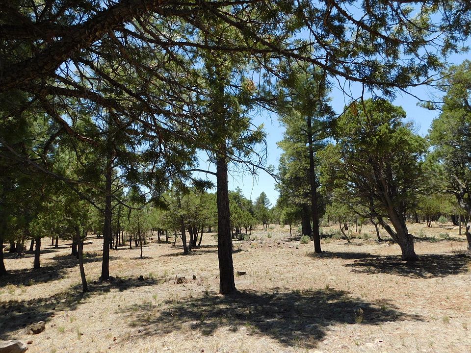 1st image of 2584 Arapaho Dr