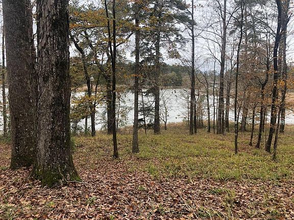Cabin Backporch View