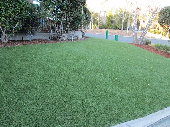 Front Lawn