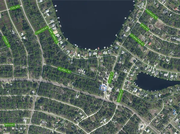 1002 Jonquil St, Lake Placid, FL 33852