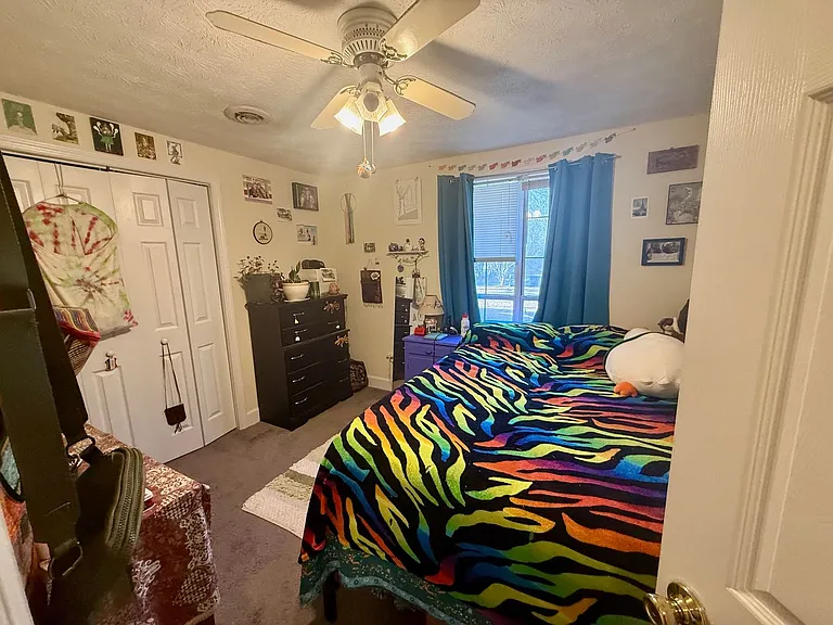 115 Knob Lick Dr — Photo 12