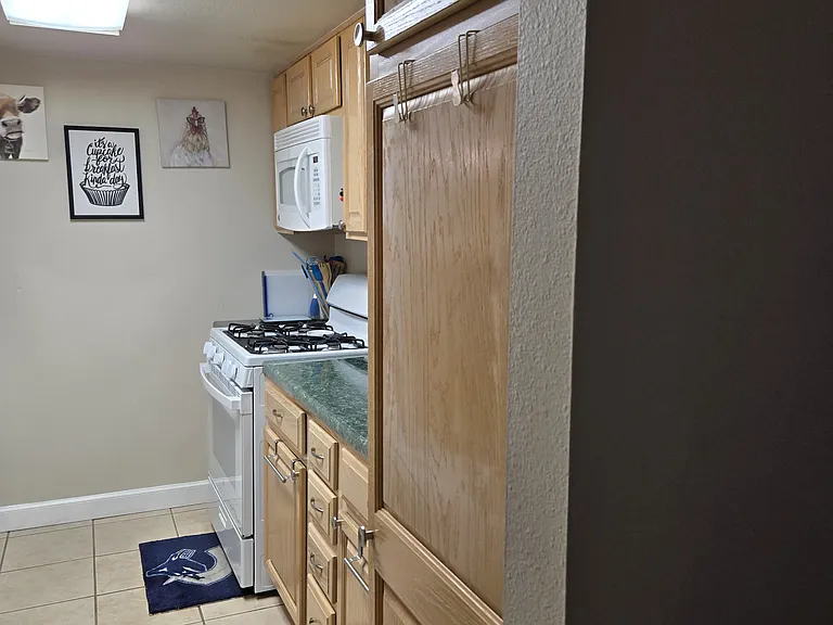 450 W 7th St #1004 — Photo 5