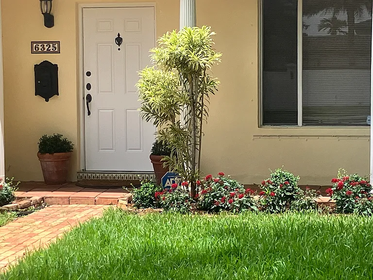 New lawn and landscaping