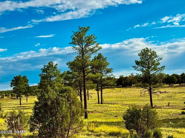 Flake Rd, Overgaard, AZ 85933