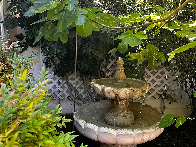 40 Paseo Verde — Photo 23