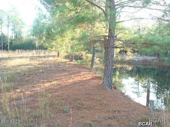 3rd image of 13141 Sherry Ln