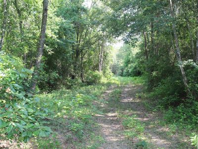 Fm 1701, De Kalb, TX, 75559
