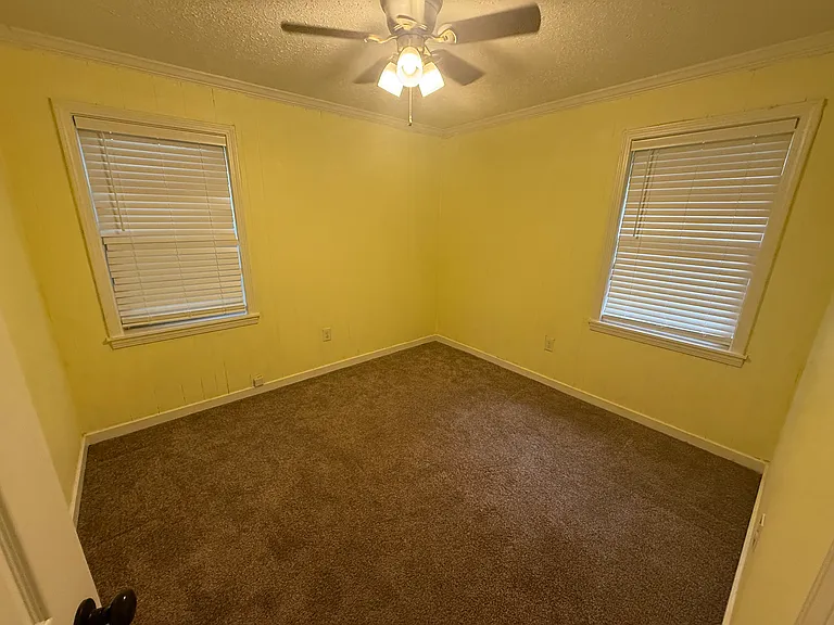 205 Pecan Park Dr — Photo 5