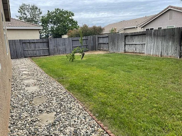 Backyard #1