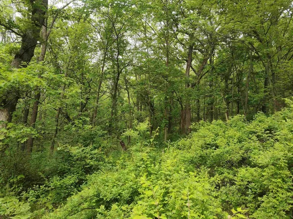 14768 Rail Hollow Rd Road, Woodman, WI 53827