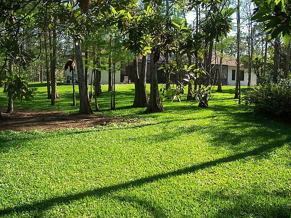 back yard & back of house