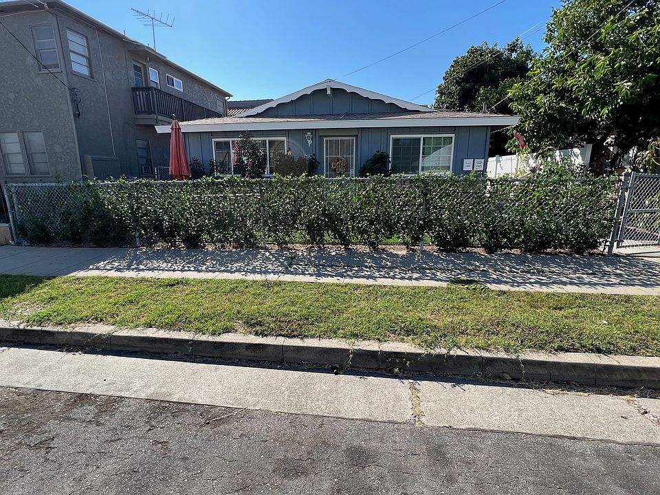 front of house. Jasmine is growing in on the front fence