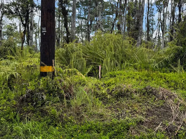 Road 9 Koloa Maoli Lot 5485, Kurtistown, HI 96760