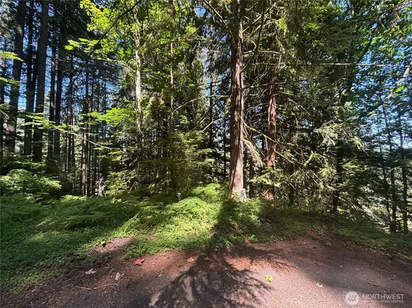 21 Clematis Lane, Bellingham, WA 98229