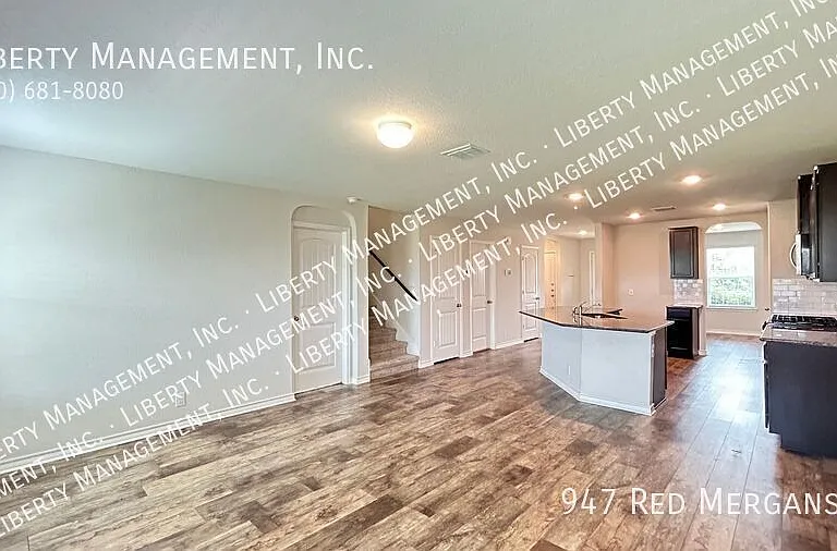 947 Red Merganser — Photo 11
